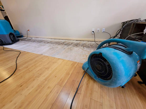 Professional Water Extraction technician working in Racine, OH